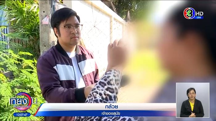 หมาหาย ใครเจอให้ 5 หมื่น สาวหล่อส่งคืนไม่ได้เงิน หมาหาย ใครเจอให้ 5 หมื่น สาวหล่อส่งคืนไม่ได้เงิน