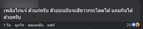 ตัวอะไรอยู่บนกิ่งไม้ ชาวเน็ตเห็นทีแรกนึกว่าผลไม้ ก่อนเฉลย ตัวอะไรอยู่บนกิ่งไม้ ชาวเน็ตเห็นทีแรกนึกว่าผลไม้ ก่อนเฉลย