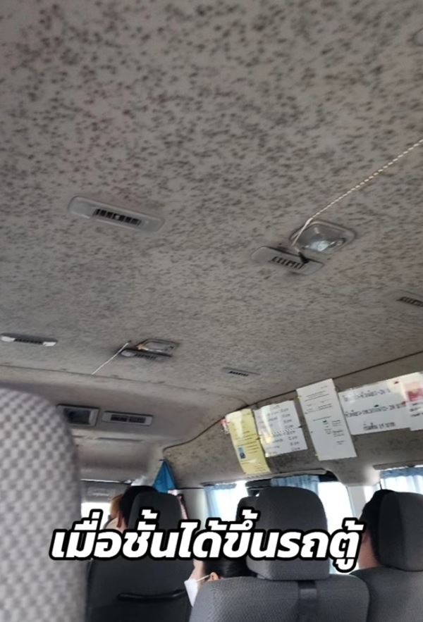 เชื้อราในรถ เชื้อราในรถ