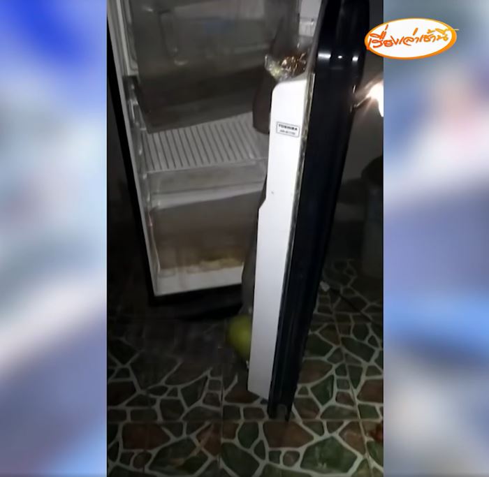 สาวบุกพังบ้านแฟน ฉุนเรียกสินสอด 1.5 แสน หาได้แค่ 5 หมื่น สาวบุกพังบ้านแฟน ฉุนเรียกสินสอด 1.5 แสน หาได้แค่ 5 หมื่น