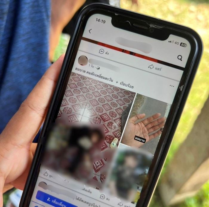 รวบแล้ว นักมวยทาสยา ฆ่าแม่ดับก่อนโพสต์เย้ย รวบแล้ว นักมวยทาสยา ฆ่าแม่ดับก่อนโพสต์เย้ย