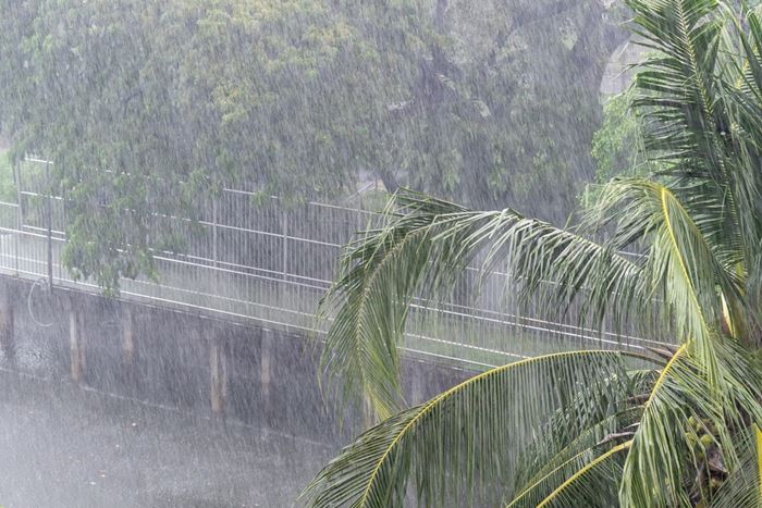 กรมอุตุนิยมวิทยา ประกาศฝนตกหนักมากรอบใหม่ ตั้งแต่ 23 พ.ค. กรมอุตุนิยมวิทยา ประกาศฝนตกหนักมากรอบใหม่ ตั้งแต่ 23 พ.ค.