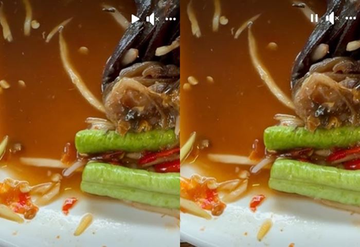 กินส้มตำจนหมด เห็นมะละกอเคลื่อนไหวแล้วตกใจ กินส้มตำจนหมด เห็นมะละกอเคลื่อนไหวแล้วตกใจ