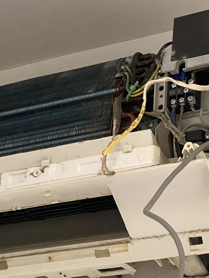 ช็อก ล้างแอร์เจอภาพแขกไม่ได้รับเชิญ ช็อก ล้างแอร์เจอภาพแขกไม่ได้รับเชิญ