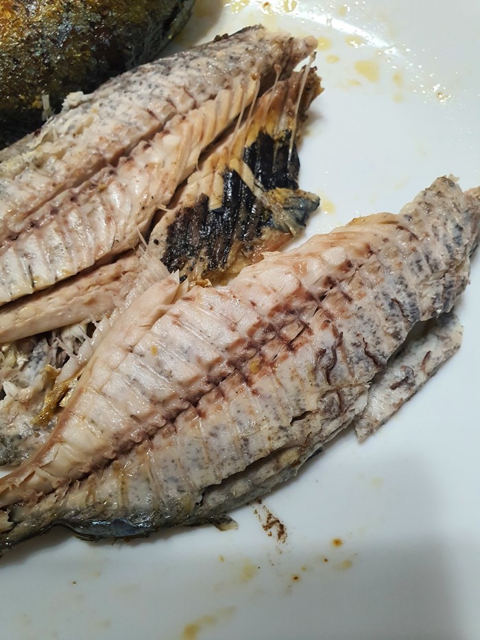 ทอดปลาทูเจอจุดดำ ไม่รู้มันคืออะไร ทอดปลาทูเจอจุดดำ ไม่รู้มันคืออะไร