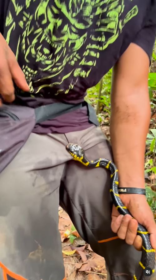 อินฟลูเอนเซอร์สายงู โดนเข้าให้ งูพิษกัดจุดนี้จนทำหน้าเบ้ อินฟลูเอนเซอร์สายงู โดนเข้าให้ งูพิษกัดจุดนี้จนทำหน้าเบ้