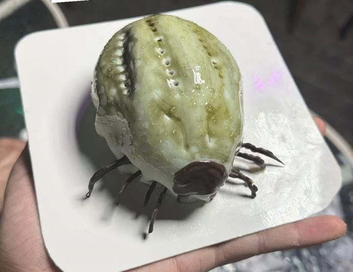 ร้านเวทย์มนต์ คาเฟ่ดัง เตรียมปิดร้านที่แดนเนรมิต ร้านเวทย์มนต์ คาเฟ่ดัง เตรียมปิดร้านที่แดนเนรมิต