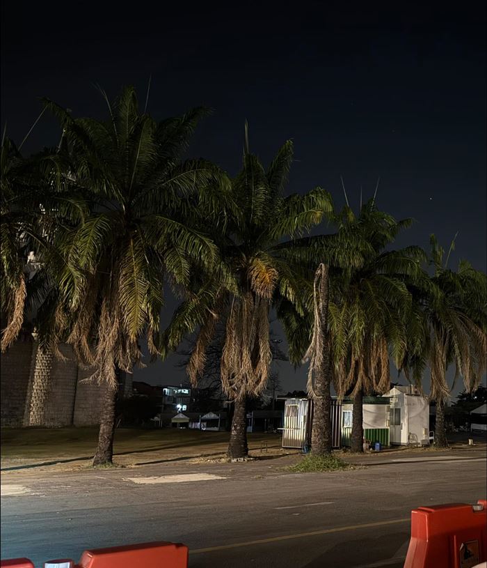 คาเฟ่ดัง ไม่รู้ชะตากรรม โอดลงทุน 4 ล้าน เปิดได้แค่ครึ่งปี เจอตลาดปิดกิจการ คาเฟ่ดัง ไม่รู้ชะตากรรม โอดลงทุน 4 ล้าน เปิดได้แค่ครึ่งปี เจอตลาดปิดกิจการ