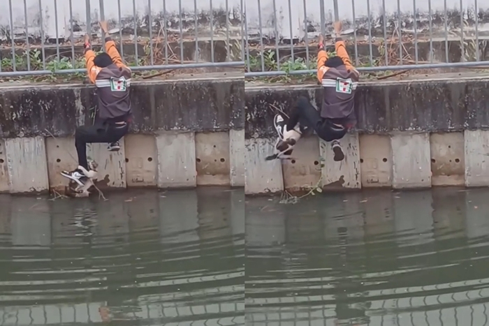 พนักงานเซเว่นฯ ช่วยแมวตกน้ำ พนักงานเซเว่นฯ ช่วยแมวตกน้ำ