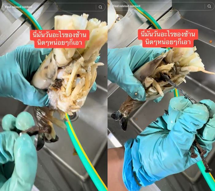 ร้านซีฟู้ดเจอตะปูฝังหัวกุ้งแม่น้ำ ร้านซีฟู้ดเจอตะปูฝังหัวกุ้งแม่น้ำ