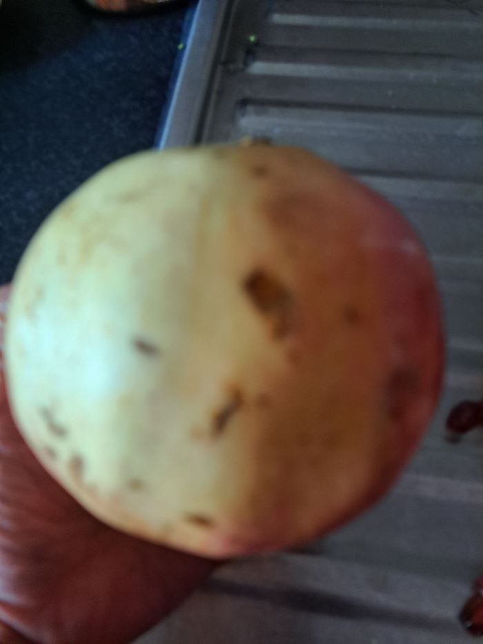 ลูกบ้านถาม ผลไม้สภาพนี้ กล้าให้ยามคอนโดไหม ลูกบ้านถาม ผลไม้สภาพนี้ กล้าให้ยามคอนโดไหม