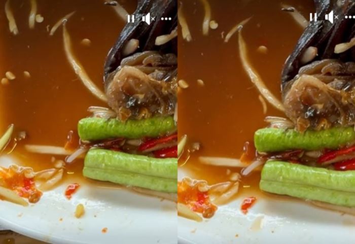 กินส้มตำจนหมด เห็นมะละกอเคลื่อนไหวแล้วตกใจ กินส้มตำจนหมด เห็นมะละกอเคลื่อนไหวแล้วตกใจ