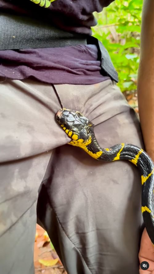 อินฟลูเอนเซอร์สายงู โดนเข้าให้ งูพิษกัดจุดนี้จนทำหน้าเบ้ อินฟลูเอนเซอร์สายงู โดนเข้าให้ งูพิษกัดจุดนี้จนทำหน้าเบ้