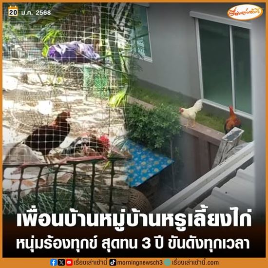 หนุ่มซื้อบ้านหรู เจอเพื่อนบ้านเลี้ยงไก่ชน ทนเสียงขันทั้งวันมา 3 ปี หนุ่มซื้อบ้านหรู เจอเพื่อนบ้านเลี้ยงไก่ชน ทนเสียงขันทั้งวันมา 3 ปี