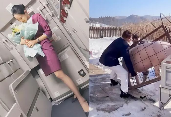 จากนางฟ้า มาเป็นคนเลี้ยงหมู จากนางฟ้า มาเป็นคนเลี้ยงหมู