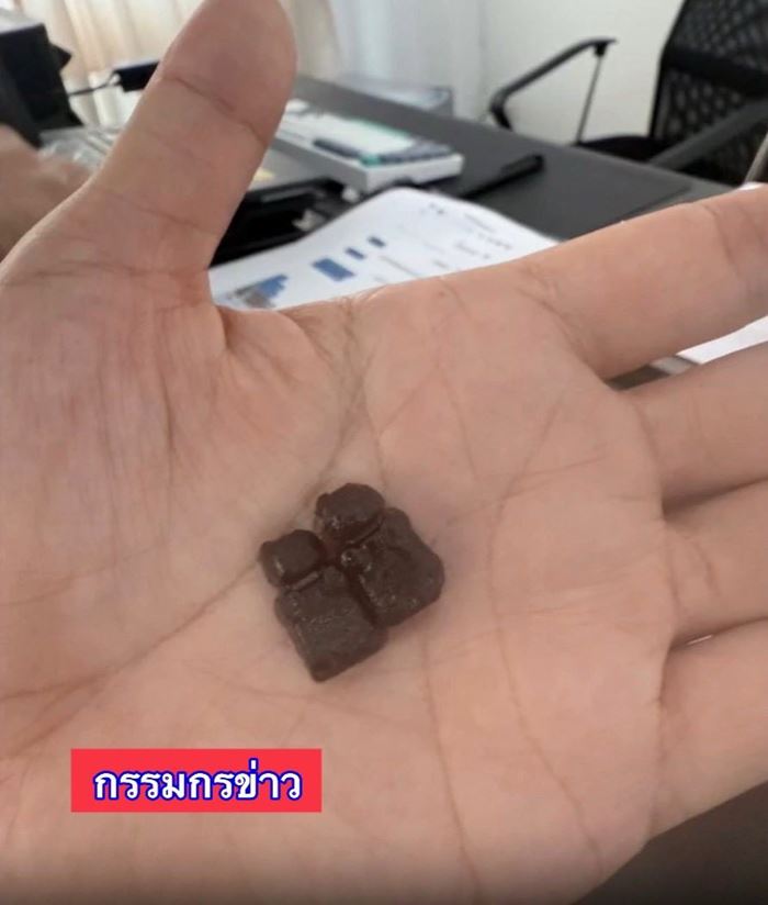 เด็ก 2 ขวบ เผลอกินเจลลี่กัญชา 10 ชิ้น ครูเห็นผิดสังเกต ก่อนหามส่ง รพ. เด็ก 2 ขวบ เผลอกินเจลลี่กัญชา 10 ชิ้น ครูเห็นผิดสังเกต ก่อนหามส่ง รพ.
