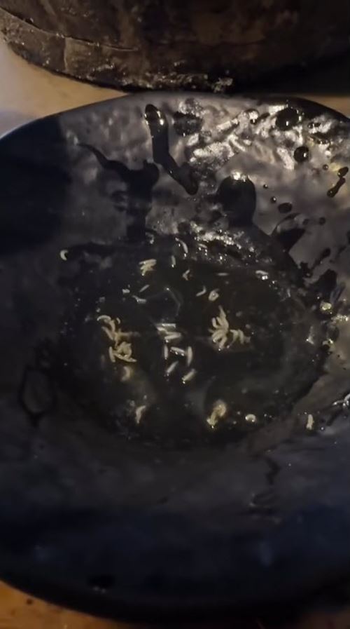 ลูกค้าไปกินปิ้งย่างดัง สะพรึงเจออะไรติดมาใต้จานเพียบ ลูกค้าไปกินปิ้งย่างดัง สะพรึงเจออะไรติดมาใต้จานเพียบ