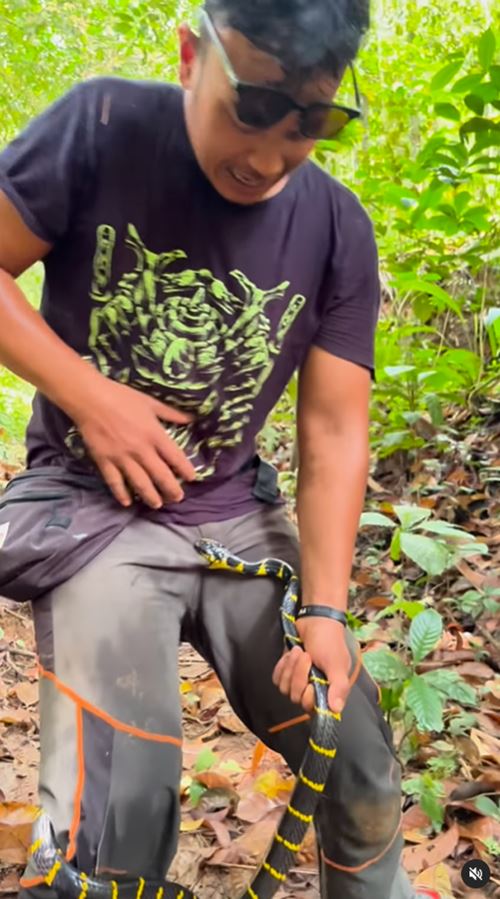 อินฟลูเอนเซอร์สายงู โดนเข้าให้ งูพิษกัดจุดนี้จนทำหน้าเบ้ อินฟลูเอนเซอร์สายงู โดนเข้าให้ งูพิษกัดจุดนี้จนทำหน้าเบ้