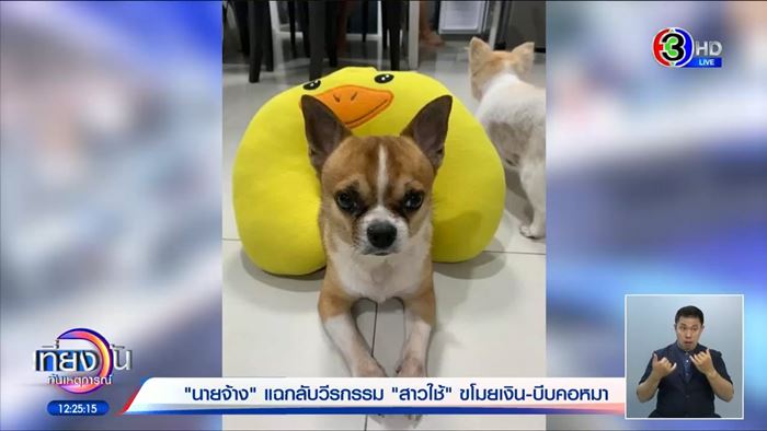 ลูกจ้างร้องถูกทำร้าย เจ้านายแจงสั่งสอน ย้ำเลี้ยงเหมือนคนในครอบครัว ลูกจ้างร้องถูกทำร้าย เจ้านายแจงสั่งสอน ย้ำเลี้ยงเหมือนคนในครอบครัว