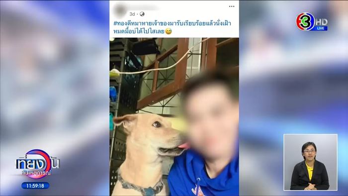 หมาหาย ใครเจอให้ 5 หมื่น สาวหล่อส่งคืนไม่ได้เงิน หมาหาย ใครเจอให้ 5 หมื่น สาวหล่อส่งคืนไม่ได้เงิน