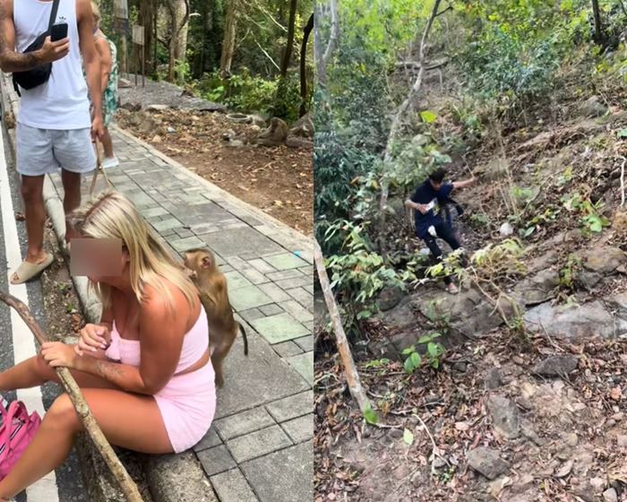 สาวฝรั่งเที่ยวไทย เจอลิงแย่งมือถือไปเซลฟี่ สาวฝรั่งเที่ยวไทย เจอลิงแย่งมือถือไปเซลฟี่