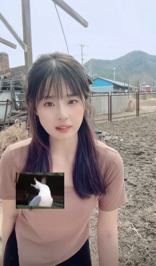 จากนางฟ้า มาเป็นคนเลี้ยงหมู จากนางฟ้า มาเป็นคนเลี้ยงหมู