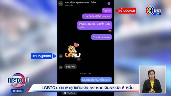 หมาหาย ใครเจอให้ 5 หมื่น สาวหล่อส่งคืนไม่ได้เงิน หมาหาย ใครเจอให้ 5 หมื่น สาวหล่อส่งคืนไม่ได้เงิน