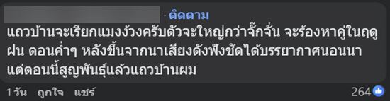 แมลงปริศนา คล้าย จักจั่น แต่ใหญ่กว่า ขนาดเกือบเท่ากระป๋อง เฉลยแล้วคือตัวอะไร แมลงปริศนา คล้าย จักจั่น แต่ใหญ่กว่า ขนาดเกือบเท่ากระป๋อง เฉลยแล้วคือตัวอะไร