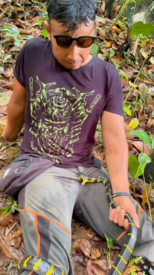 อินฟลูเอนเซอร์สายงู โดนเข้าให้ งูพิษกัดจุดนี้จนทำหน้าเบ้ อินฟลูเอนเซอร์สายงู โดนเข้าให้ งูพิษกัดจุดนี้จนทำหน้าเบ้