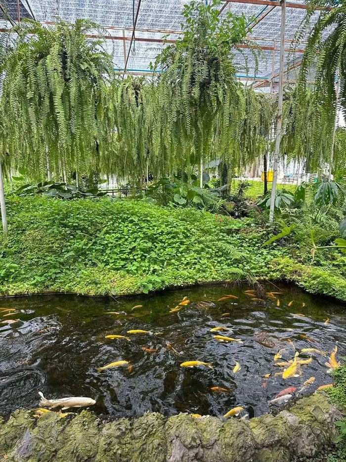 หนุ่มแจงอีกมุม ปมถูกอดีตคนรักแฉก่อนจบชีวิต หนุ่มแจงอีกมุม ปมถูกอดีตคนรักแฉก่อนจบชีวิต