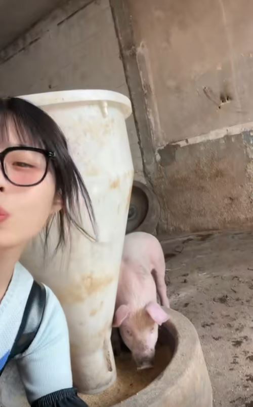 จากนางฟ้า มาเป็นคนเลี้ยงหมู จากนางฟ้า มาเป็นคนเลี้ยงหมู