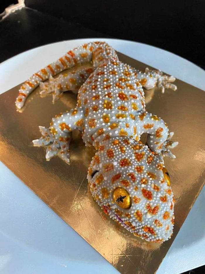 ร้านเวทย์มนต์ คาเฟ่ดัง เตรียมปิดร้านที่แดนเนรมิต ร้านเวทย์มนต์ คาเฟ่ดัง เตรียมปิดร้านที่แดนเนรมิต