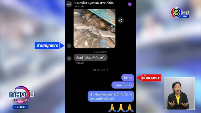 หมาหาย ใครเจอให้ 5 หมื่น สาวหล่อส่งคืนไม่ได้เงิน หมาหาย ใครเจอให้ 5 หมื่น สาวหล่อส่งคืนไม่ได้เงิน