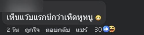 ตัวอะไรอยู่บนกิ่งไม้ ชาวเน็ตเห็นทีแรกนึกว่าผลไม้ ก่อนเฉลย ตัวอะไรอยู่บนกิ่งไม้ ชาวเน็ตเห็นทีแรกนึกว่าผลไม้ ก่อนเฉลย