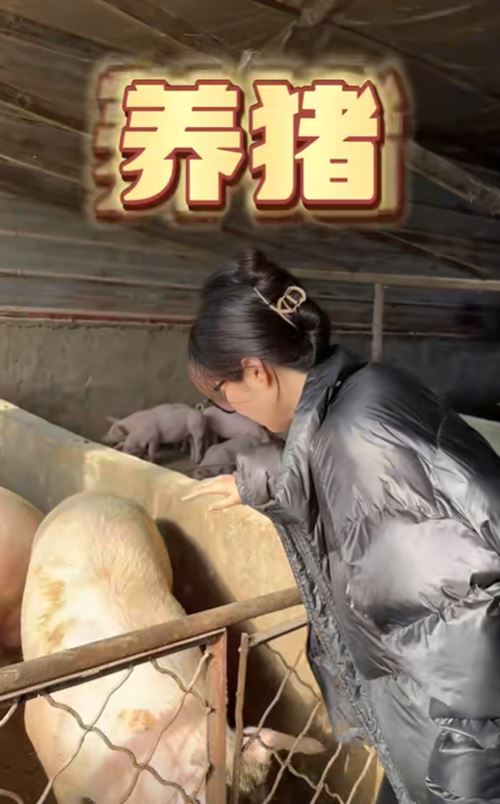 จากนางฟ้า มาเป็นคนเลี้ยงหมู จากนางฟ้า มาเป็นคนเลี้ยงหมู