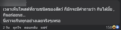 ตัวอะไรอยู่บนกิ่งไม้ ชาวเน็ตเห็นทีแรกนึกว่าผลไม้ ก่อนเฉลย ตัวอะไรอยู่บนกิ่งไม้ ชาวเน็ตเห็นทีแรกนึกว่าผลไม้ ก่อนเฉลย