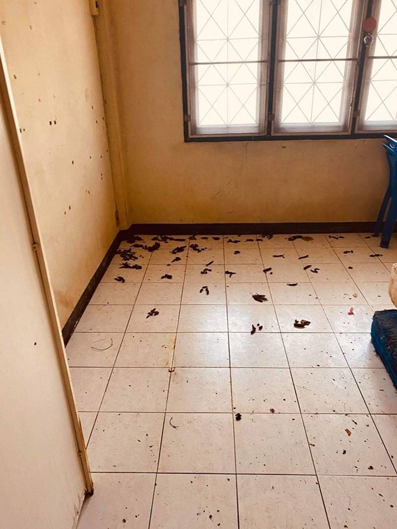 บ้านเช่า บ้านเช่า