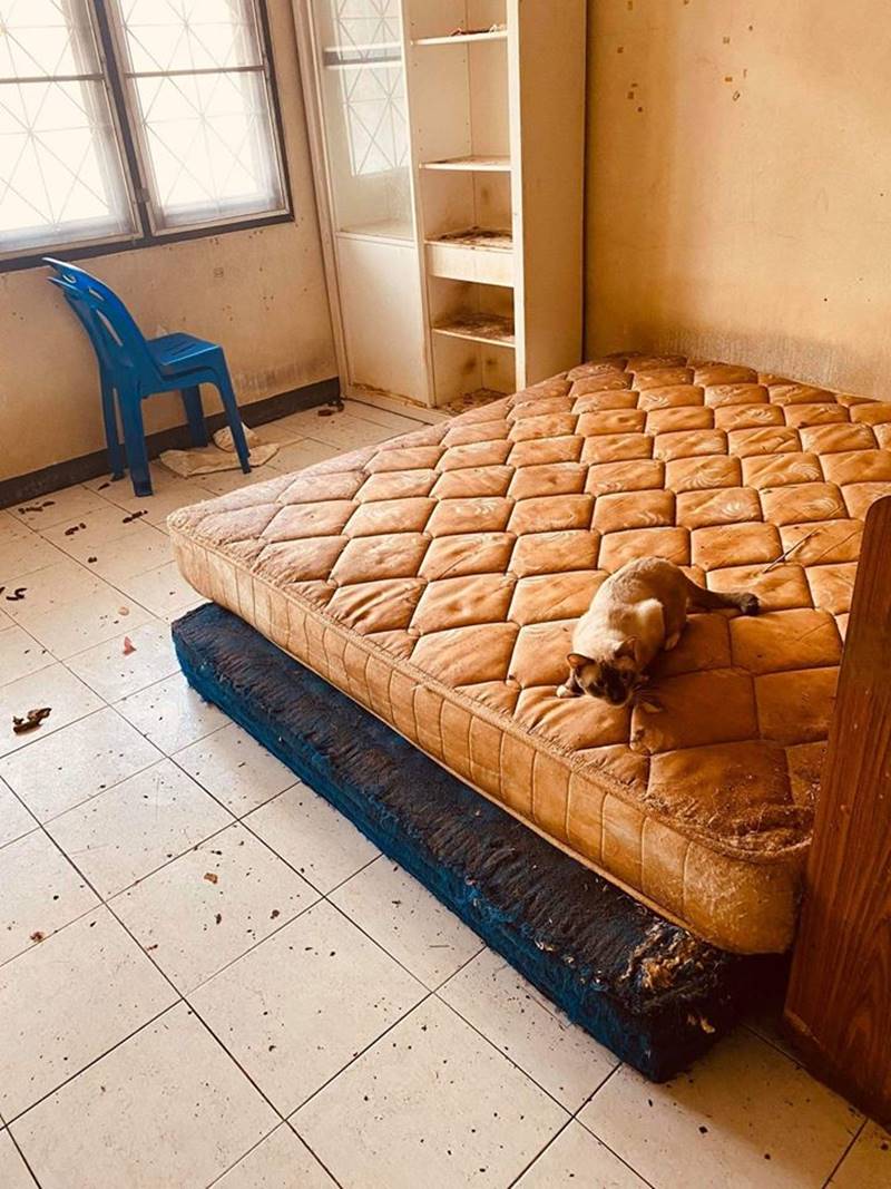 บ้านเช่า บ้านเช่า