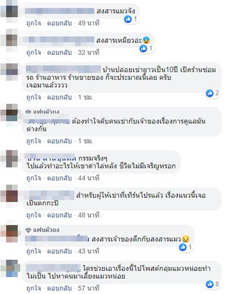 บ้านเช่า บ้านเช่า
