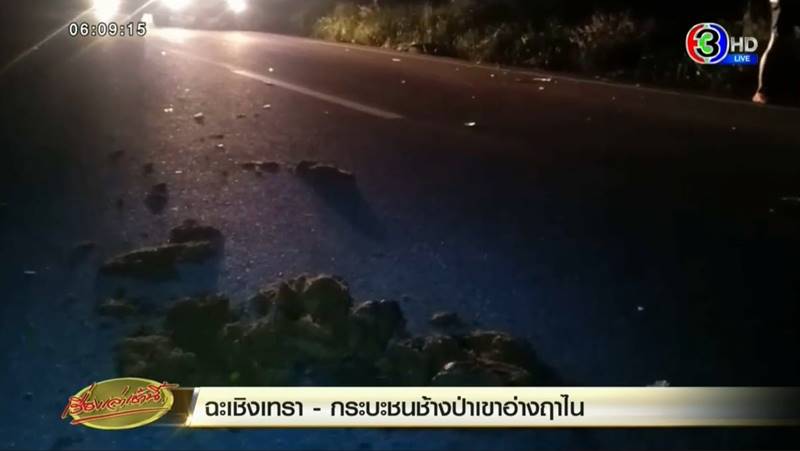 กระบะชนช้างป่าเขาอ่างฤาไน กระบะชนช้างป่าเขาอ่างฤาไน