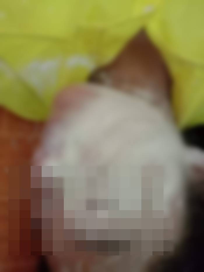 แกล้งเด็กในโรงเรียน แกล้งเด็กในโรงเรียน