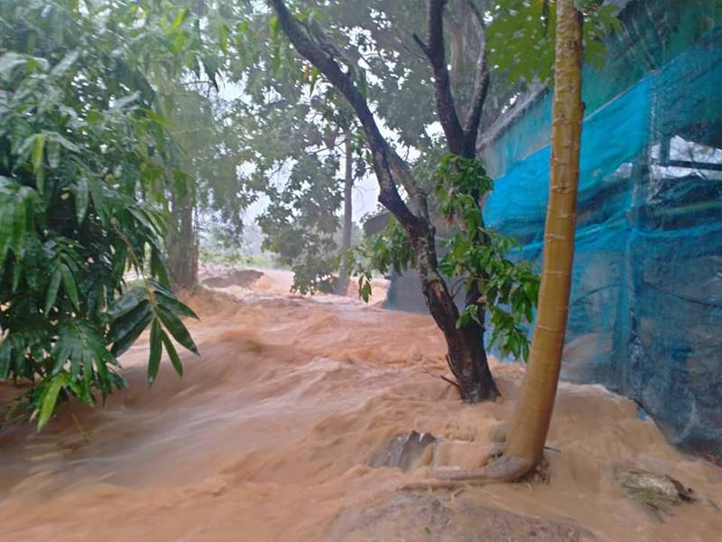 พายุซินลากู พายุซินลากู