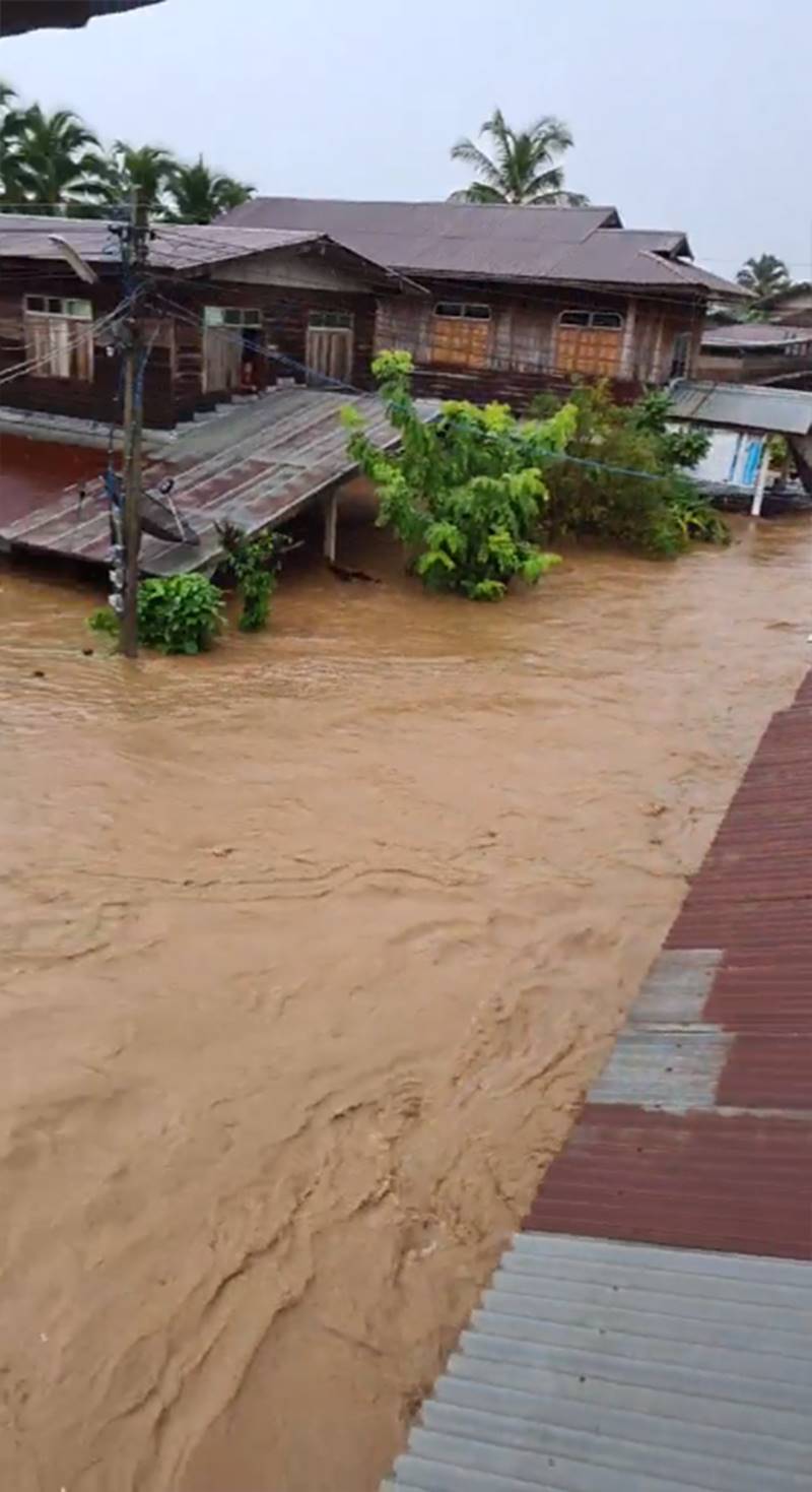 พายุซินลากู พายุซินลากู