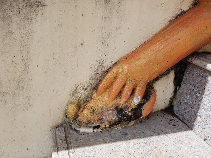 พญานาค วัดกลาง อุบลราชธานี พญานาค วัดกลาง อุบลราชธานี