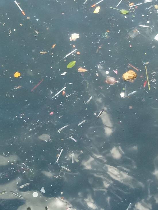 ทิ้งเข็มลงคลอง ทิ้งเข็มลงคลอง