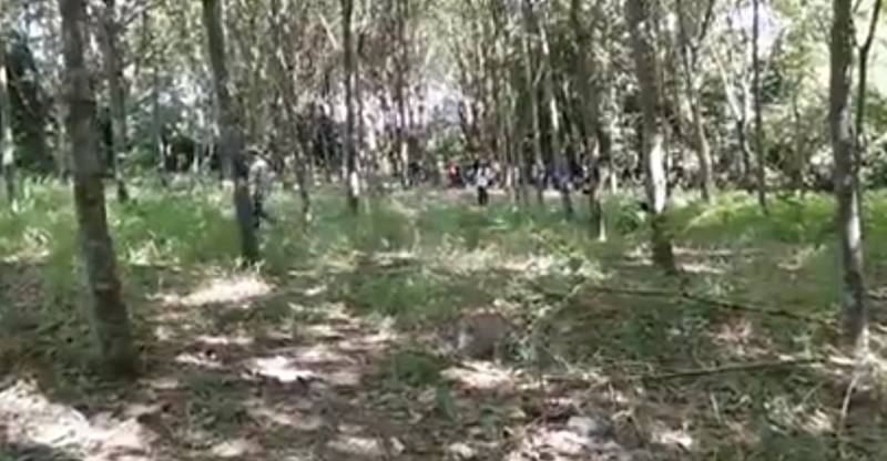 เด็กหาย เด็กหาย