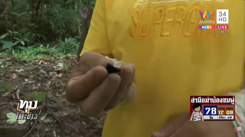 ข่าวน้องชมพู่ ข่าวน้องชมพู่