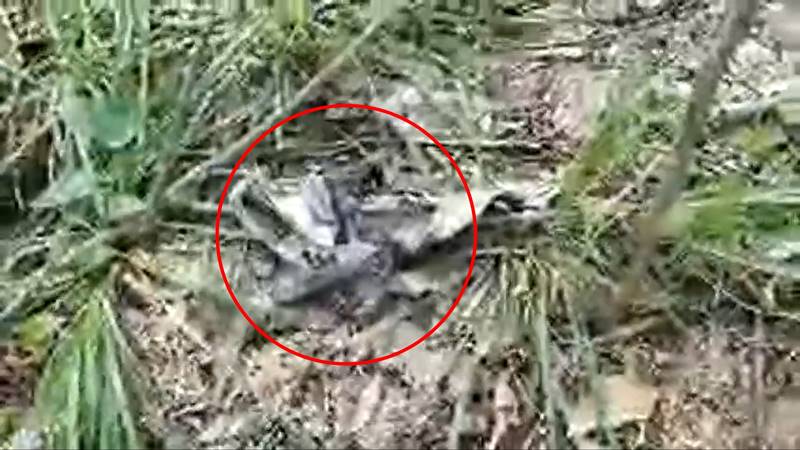 น้องกานต์ น้องกานต์