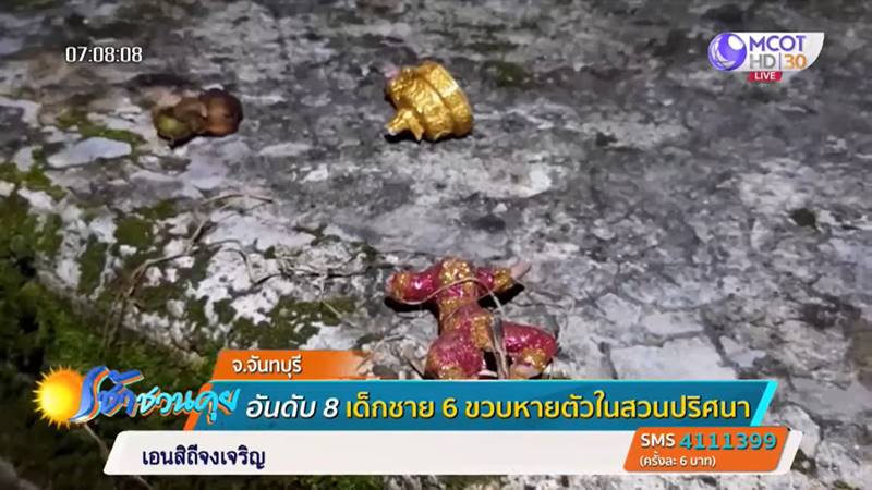 เด็กหาย เด็กหาย