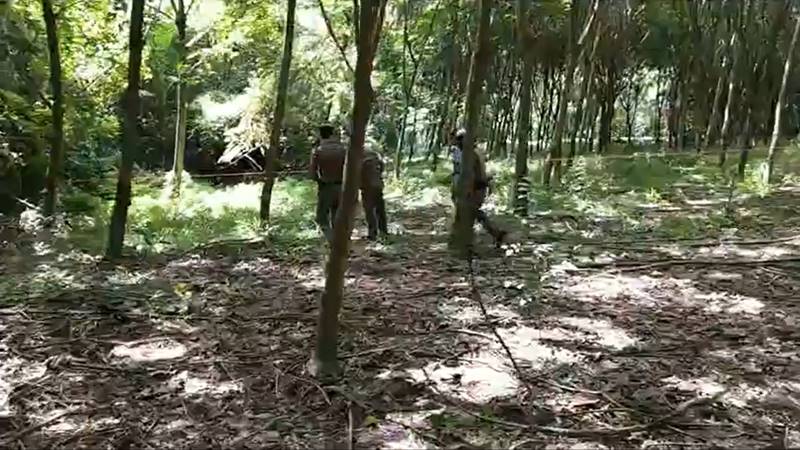 น้องกานต์ น้องกานต์